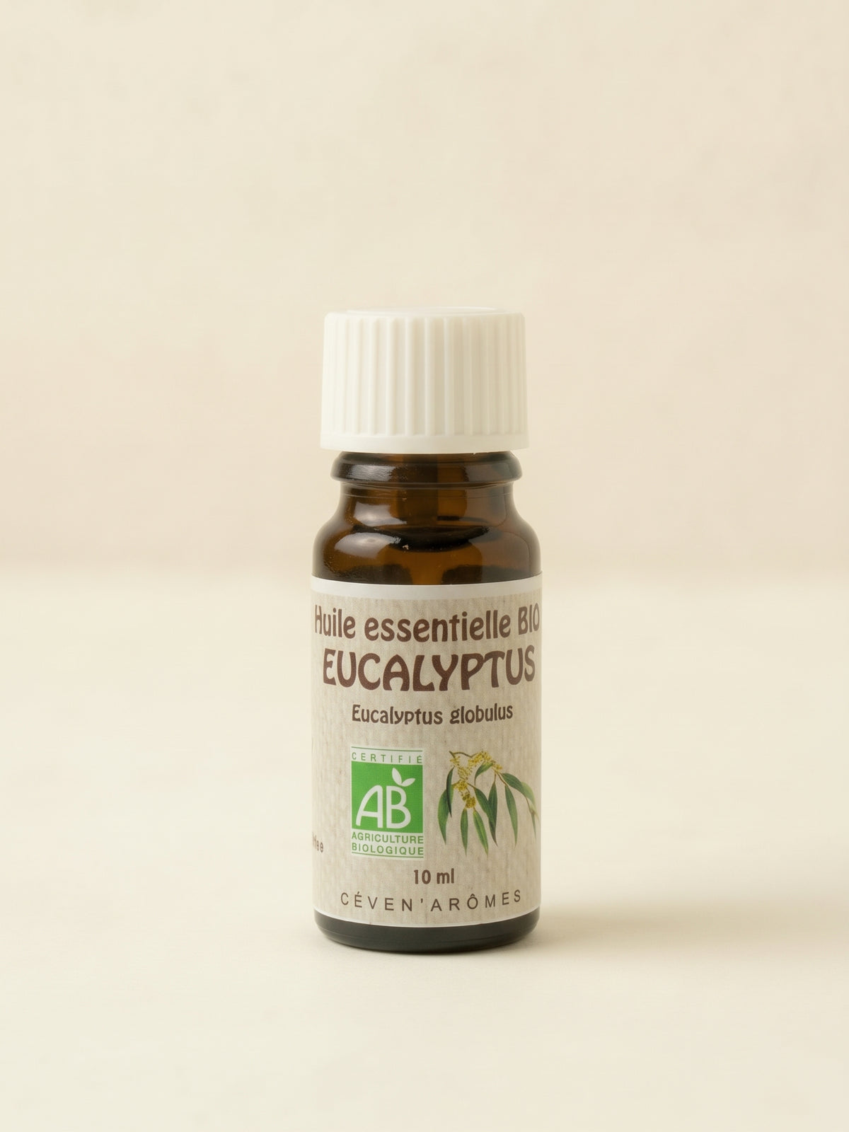 Bio Ätherisches Öl Eukalyptus 10 ml