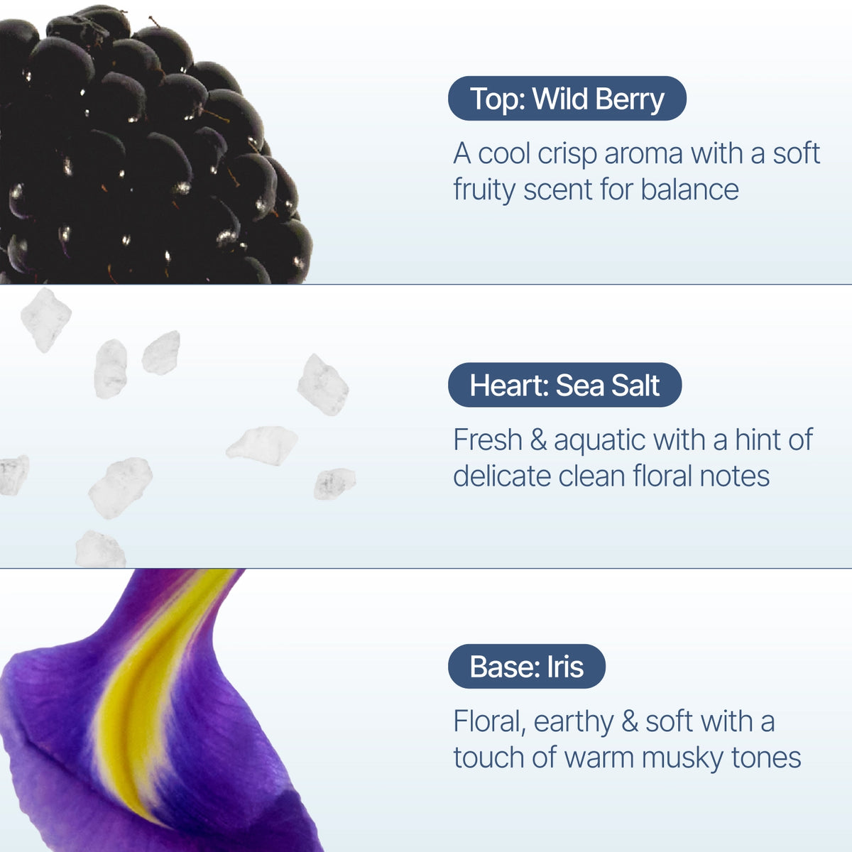 ripple+ Räucherkegel Wild Berry – vegane Bio Räucherkegel, Bild 4