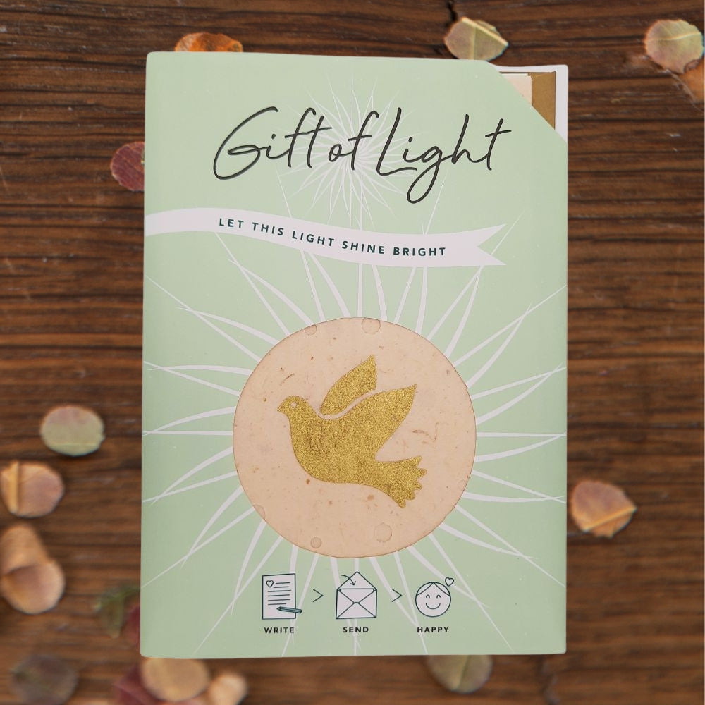Gift of Light- Taube