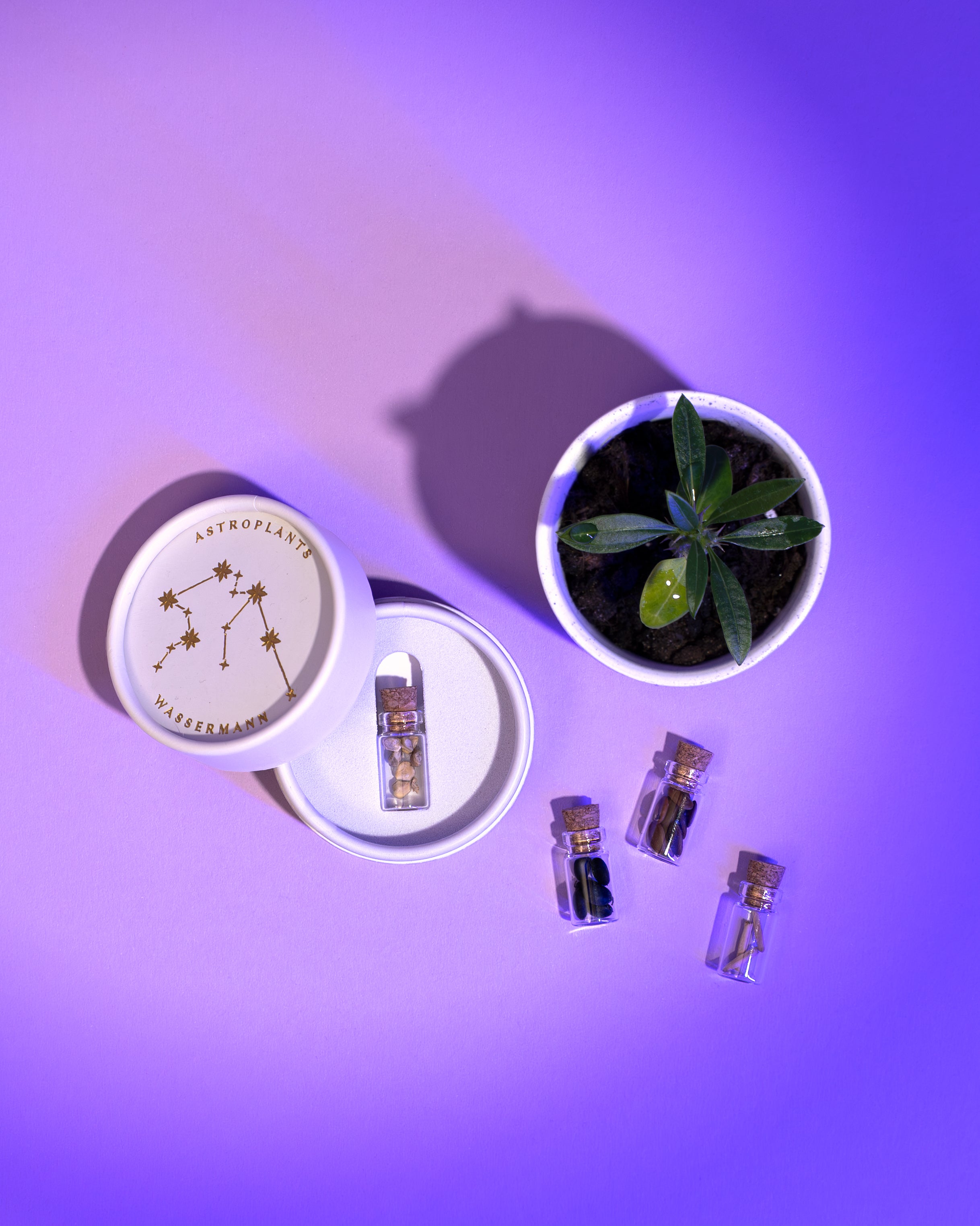 Sternzeichen Geschenkset x Astroplants