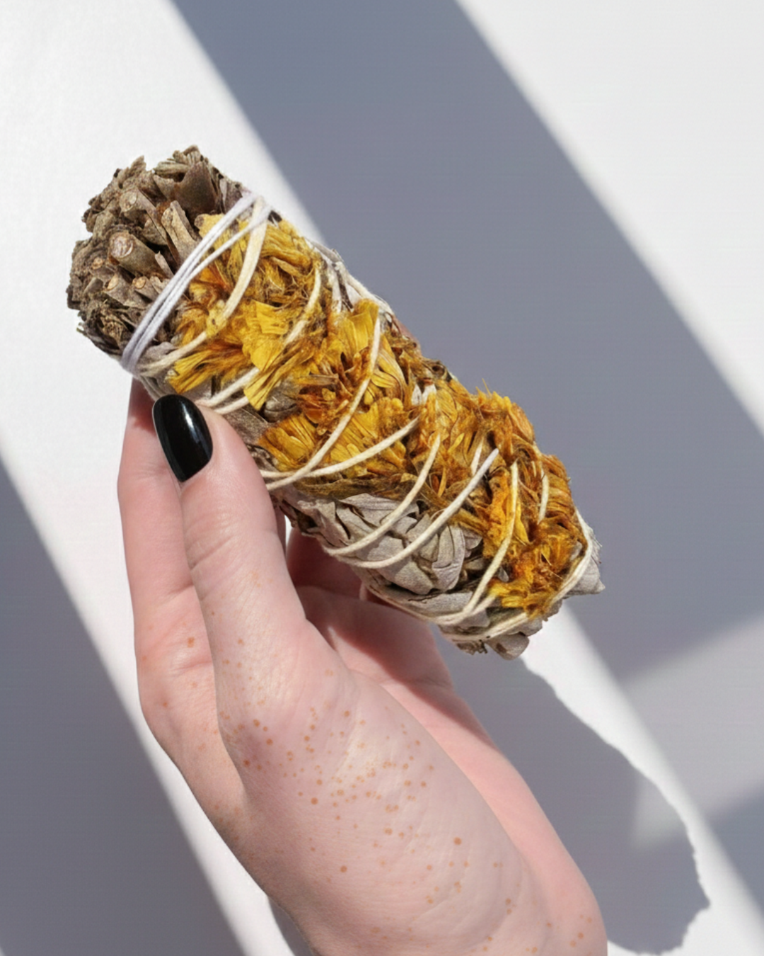 Weißer Salbei mit Sinuatablüten