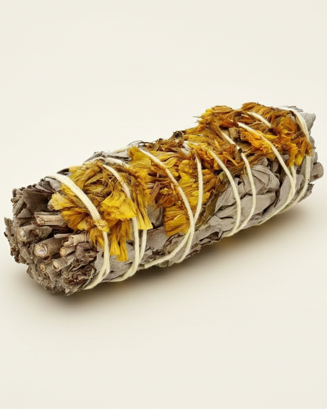 Weißer Salbei mit Sinuatablüten