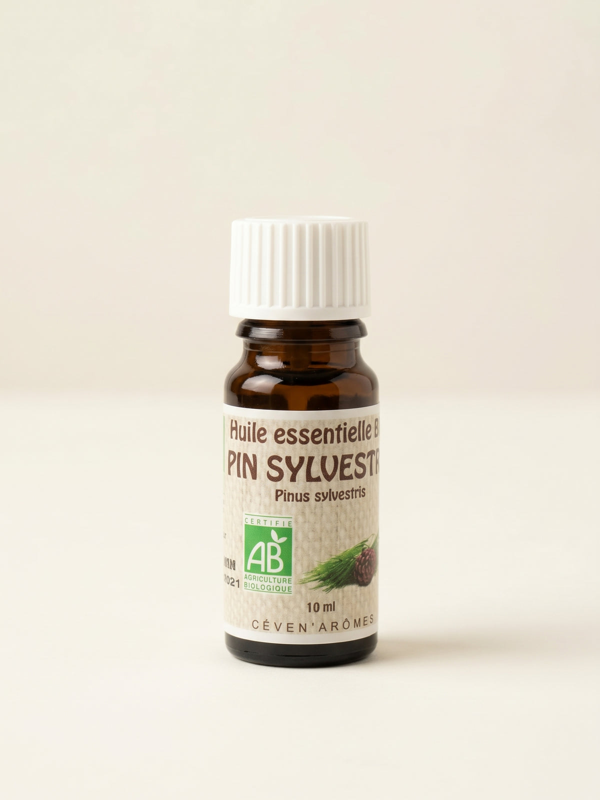 Bio Ätherisches Öl Waldkiefer 10 ml
