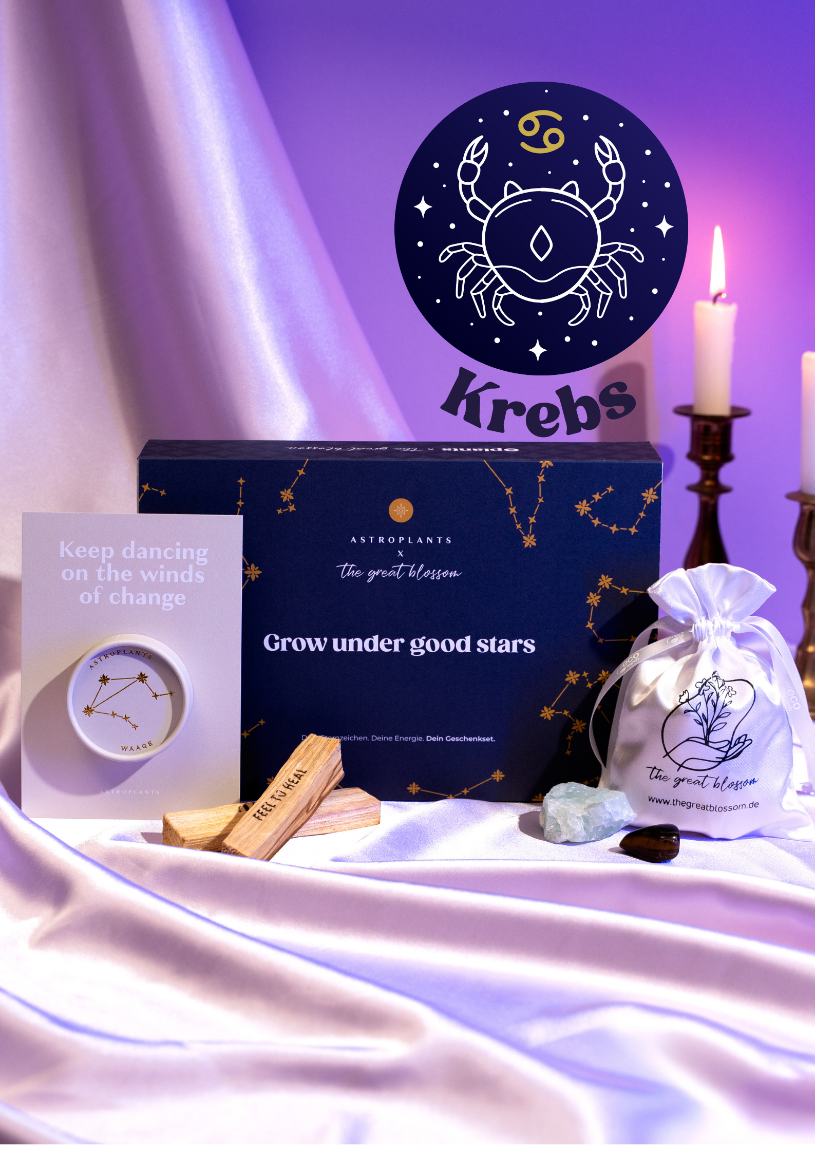 Sternzeichen Geschenkset x Astroplants